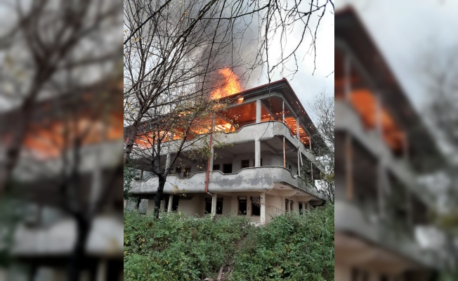 Sakarya'da yangın