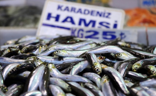 Hamsi, Tekirdağlı balıkçıların yüzünü güldürdü