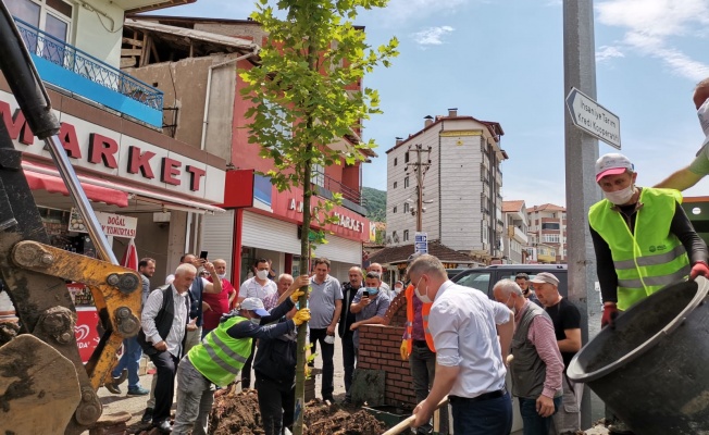 Başkan Sezer yeni çınarı kendi eliyle dikti