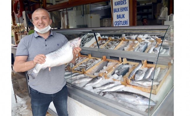 Küçük teknelerle avlanan balıklar tezgahları süslüyor