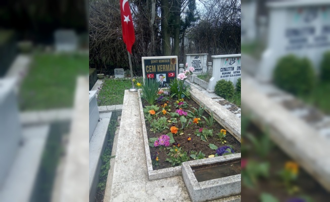 Edirne'den kısa kısa