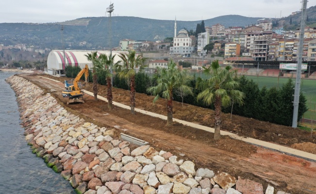 Kocaeli Hereke Sahili’ne palmiyeler dikildi