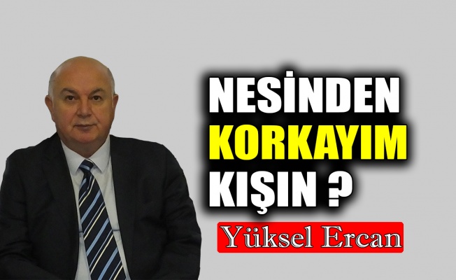 Nesinden korkayım kışın ?