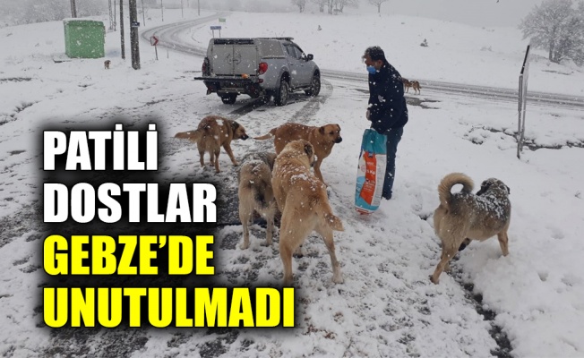 Patili dostlar Gebze’de unutulmadı