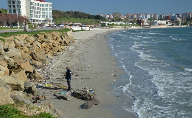 Çanakkale Boğazı'nda gemiden düşen denizcinin cesedi sahilde bulundu