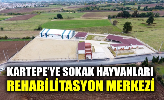 Kartepe’ye Sokak Hayvanları Rehabilitasyon Merkezi