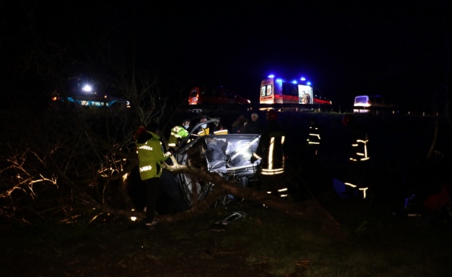 Sakarya'da ağaca çarpan pikabın sürücüsü öldü