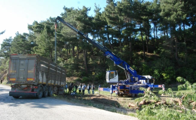 Bayramiç'te devrilen tırın sürücüsü yaralandı