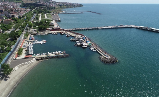 Tekirdağ'da balıkçı barınağındaki deniz salyası rüzgarın etkisiyle dağıldı