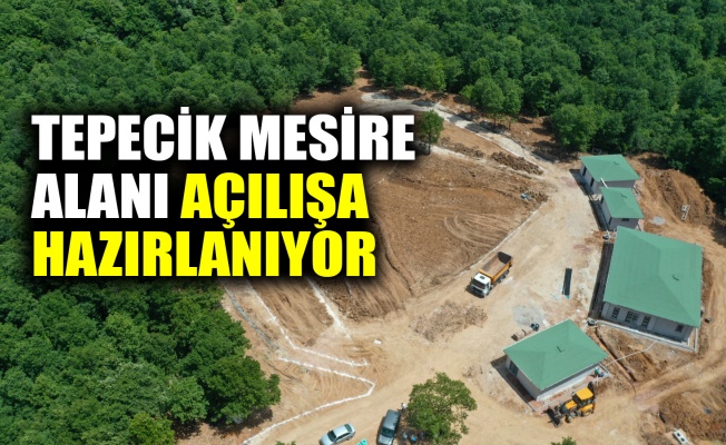 Tepecik Mesire alanı açılışa hazırlanıyor