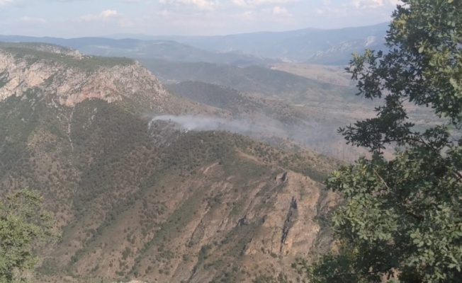 Bilecik'te ormanlık alanda çıkan yangın söndürüldü