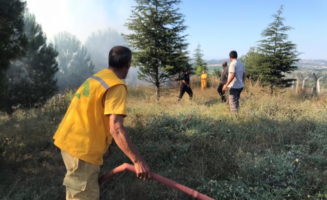 Bursa'da ormanlık alanda çıkan yangına müdahale ediliyor