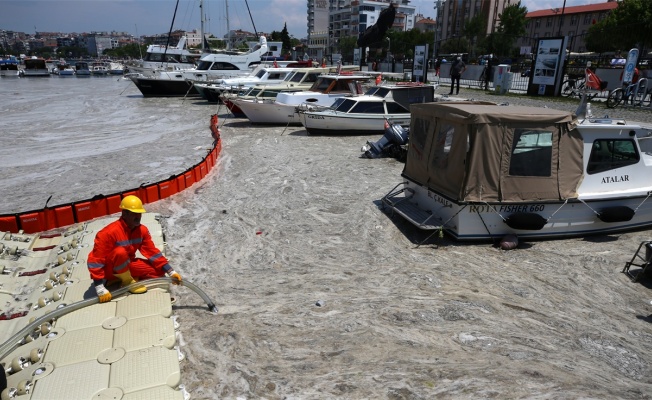 Çanakkale merkezindeki marina müsilajdan temizleniyor