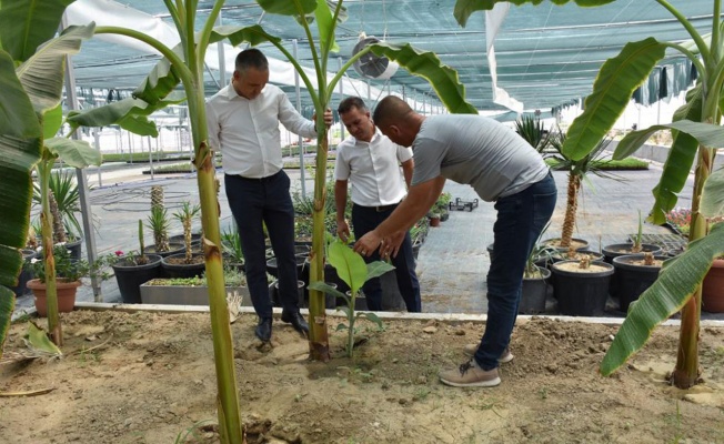 Manisa serasına ‘Tarım’sal ziyaret