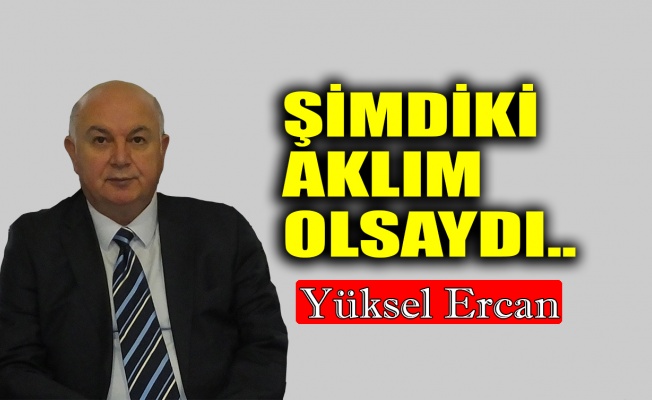 Şimdiki aklım olsaydı..