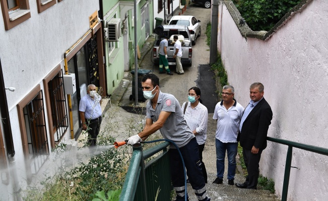 Bursa Çekirge’de haşere avı