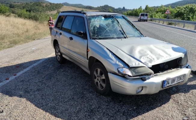 Çanakkale'de devrilen otomobildeki 2 kişi yaralandı