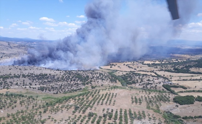 Çanakkale'de makilik alanda etkili olan yangın kontrol altına alındı