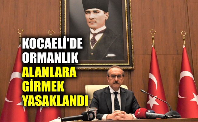 Kocaeli'de ormanlık alanlara girmek yasaklandı