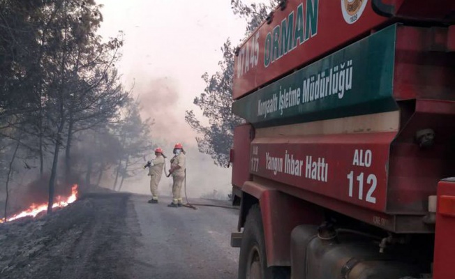 6 günde 130 orman yangını kontrol altında