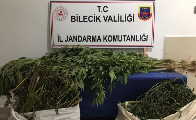 Bilecik'te uyuşturucu operasyonunda yakalanan şüpheli tutuklandı