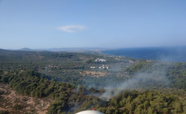 Çanakkale'de ormanlık alanda çıkan yangın söndürüldü