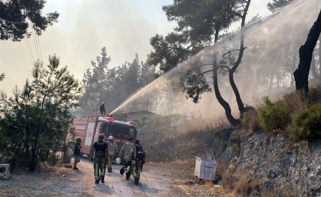 İstanbul İtfaiyesi üç koldan yangın bölgelerinde