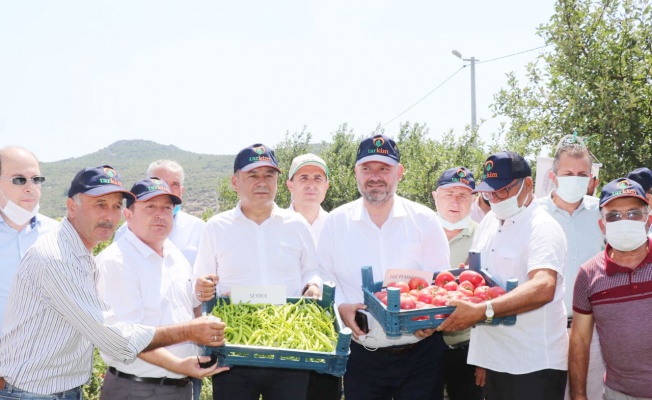 İzmir Menemen’de ‘tarla günü’ etkinliği