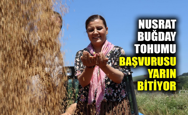 Nusrat buğday tohumu başvurusu yarın bitiyor