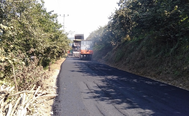 Sakarya Büyükşehir Belediyesinden kısa kısa