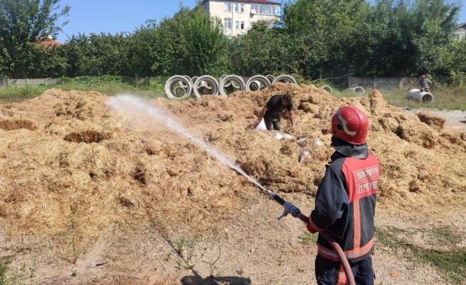 Sakarya'da kamyonun çarpmasıyla kopan elektrik tellerinin tutuşturduğu samanlar yandı