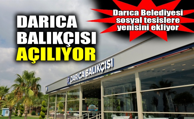 Darıca Balıkçısı açılıyor