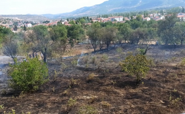 Gölpazarı'nda çıkan yangında 10 dönüm alan zarar gördü