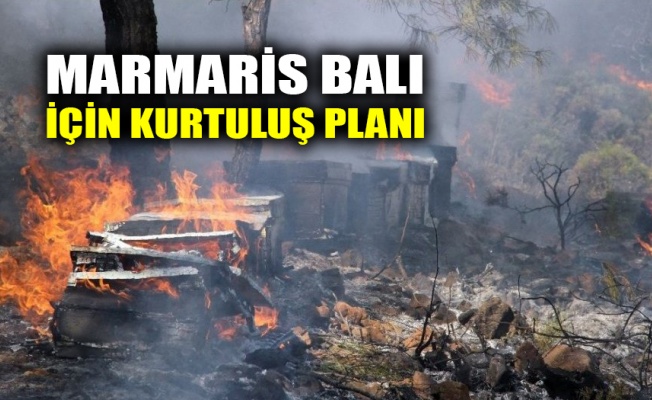 Marmaris balı için kurtuluş planı