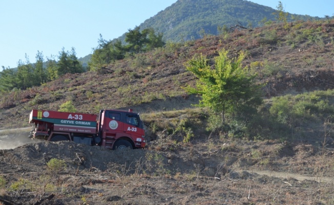 Sakarya'da çıkan orman yangını söndürüldü