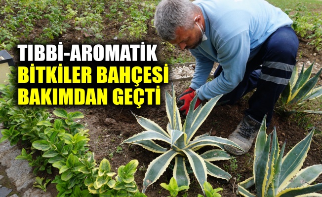 Tıbbi-Aromatik Bitkiler Bahçesi bakımdan geçti