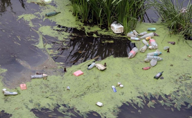 Tunca Nehri'ndeki kirlilik doğal yaşamı olumsuz etkiliyor