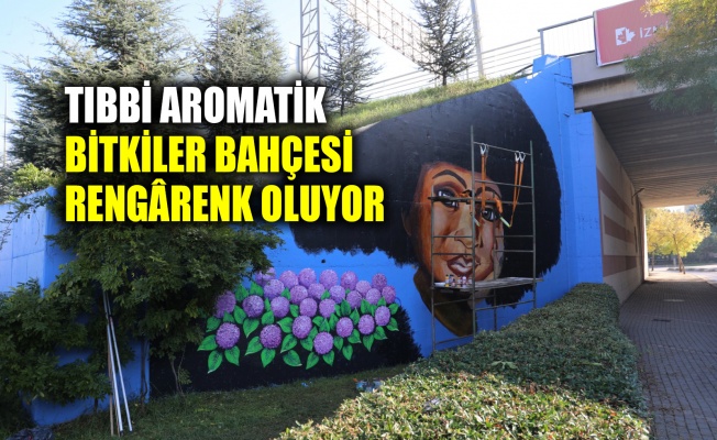 Tıbbi Aromatik Bitkiler Bahçesi rengârenk oluyor