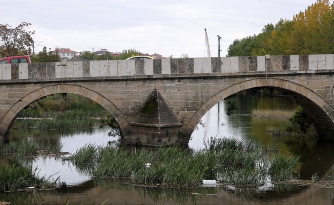 Tunca Nehri'ne atılan çöpler kirliliğe neden oluyor