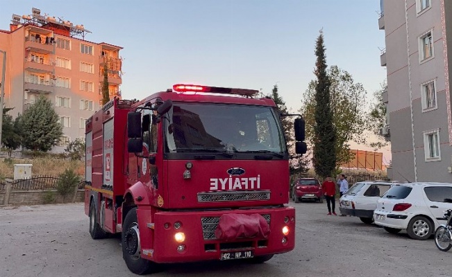 Adıyaman'da 3 kişi palmiye ağacını ateşe verdi 