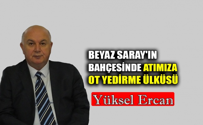 Beyaz Saray'ın bahçesinde atımıza ot yedirme ülküsü