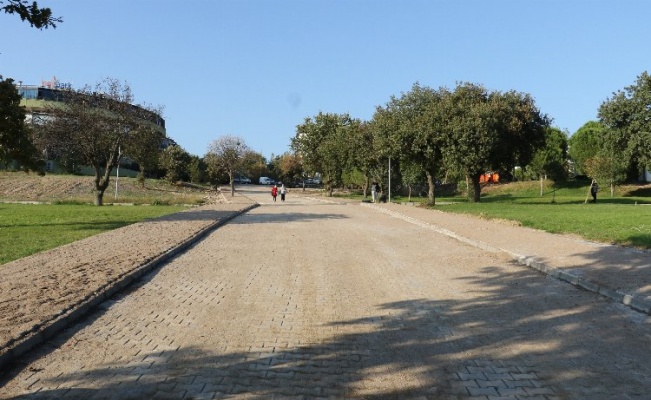 Manisa Büyükşehir, kampüs içine parke taş döşedi 