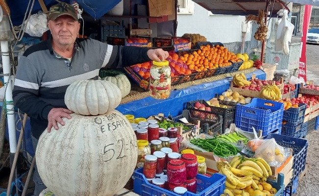 Bursa Mudanya'da 52 kilogramlık bal kabağı!