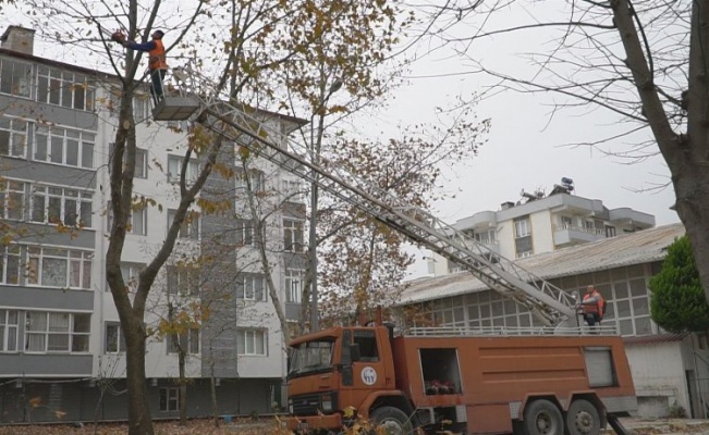 Bursa Mustafakemalpaşa'da budanan ağaç dalları 'yakacak' oluyor