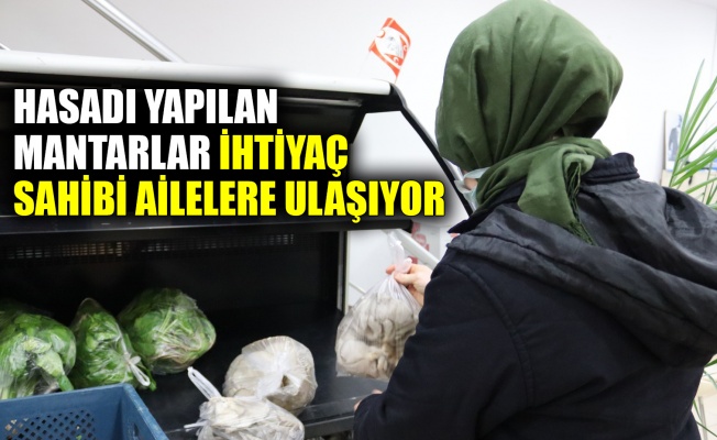 Hasadı yapılan mantarlar ihtiyaç sahibi ailelere ulaşıyor