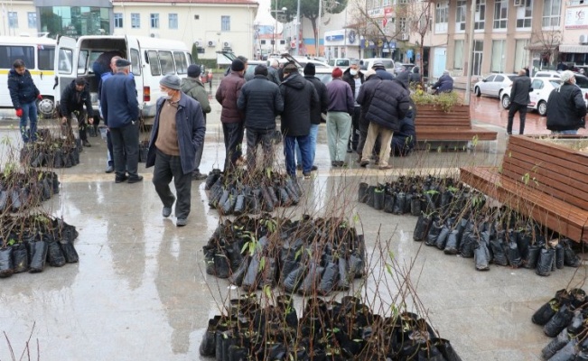 Manisa'da 7 bin ceviz ve badem fidanı dağıtıldı