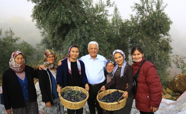 Muğla'da 'Tarlanıza Geliyoruz' projesiyle üreticiye destek 