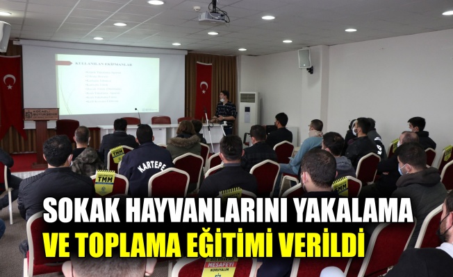 Sokak hayvanlarını yakalama ve toplama eğitimi verildi