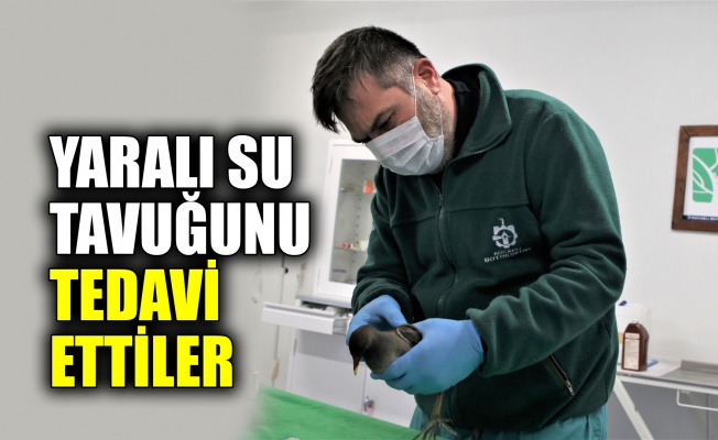 Yaralı su tavuğu Ormanya’da tedavi ediliyor