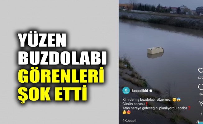 Yüzen buzdolabı görenleri şok etti